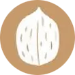 Frutta a guscio