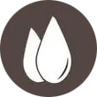 Sesamo